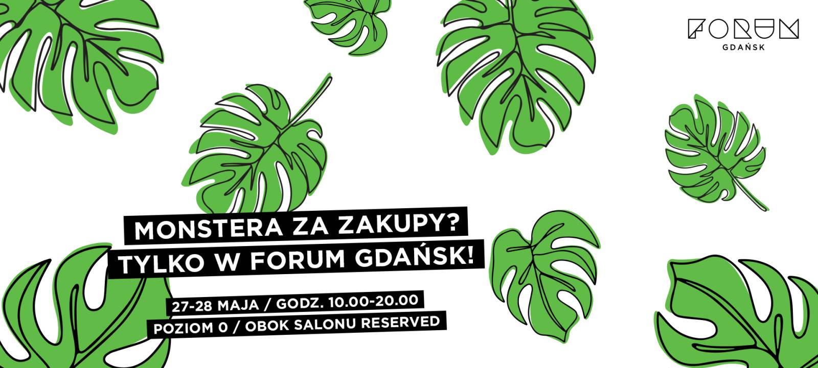 MONSTERA ZA ZAKUPY? TYLKO W FORUM GDAŃSK!